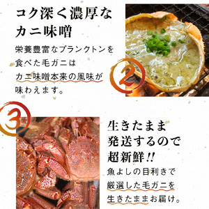 【令和9年発送先行予約】【3回定期便】三陸産 活毛ガニ 400g相当×1杯【08】 【期間限定2027年2月～4月発送】