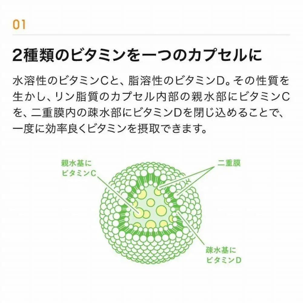 【12ヶ月定期便】【Lypo-C】リポ カプセル ビタミンC＋D（30包入） 3箱 | サプリ 健康 美容 サプリメント 人気