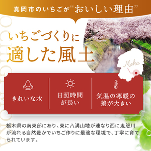 栃木のこでらんない冷凍イチゴ（とちあいか）約2kg 