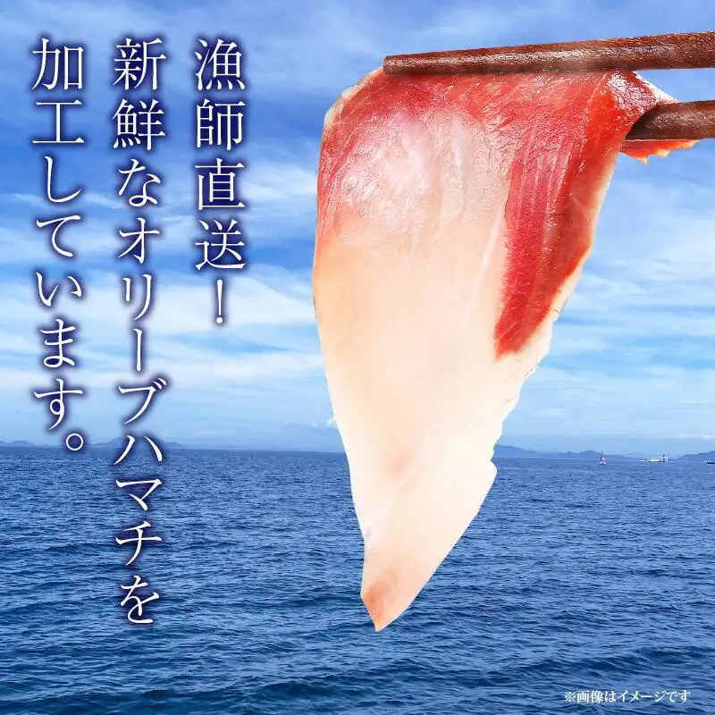 香川県産オリーブハマチのぶりしゃぶセット