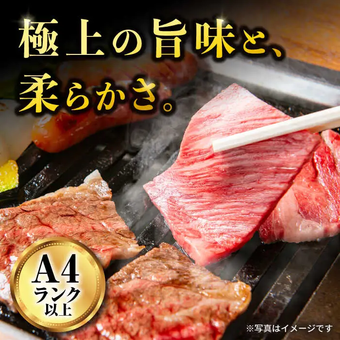 長崎和牛焼肉セット(モモ400g・肩ロース200g・カルビ400g) 計1kg / 牛肉 モモ もも ロース ろーす 肩ロース カルビ かるび 焼肉 焼き肉 小分け / 大村市 / おおむら夢ファームシュシュ[ACAA136]