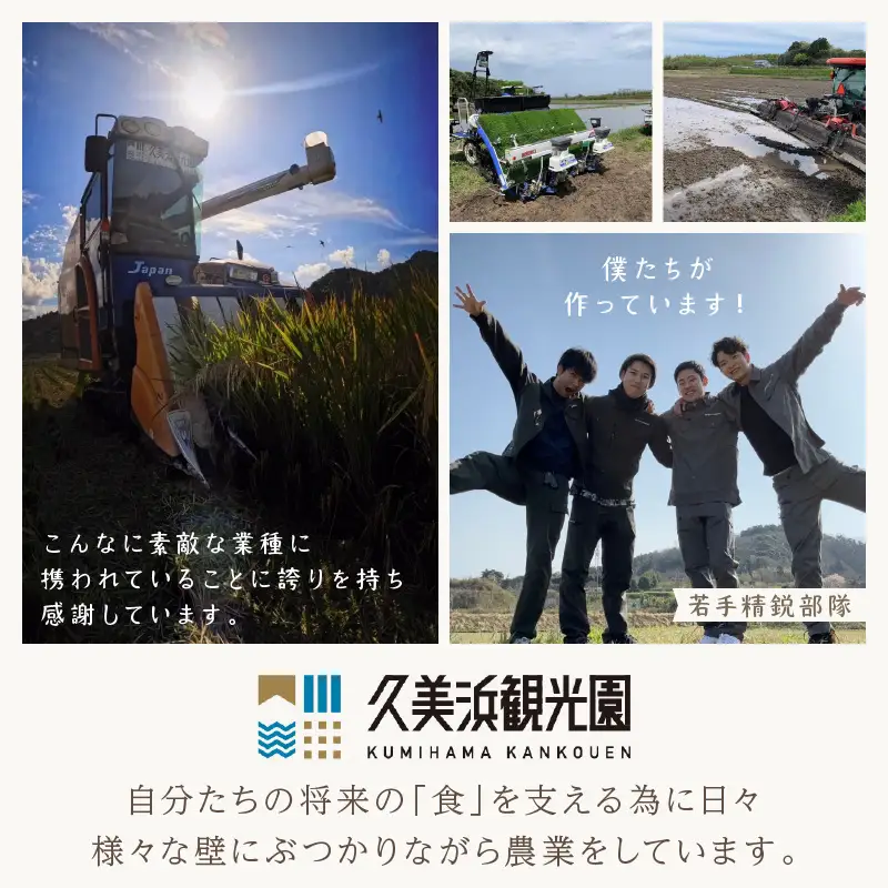 【3回定期便】【特別栽培米】コシヒカリ『豊饒』 2kg （真空パック）（2026年10月上旬～発送） 久美浜 国産 産地直送 お米 白米 丹後コシヒカリ おにぎり お弁当 京都産 京丹後 こしひかり ふるさと納税 コシヒカリ 精米