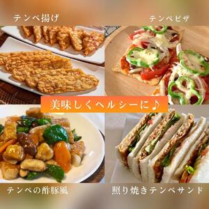ルストテンペ(滋賀県産特別栽培大豆使用)3個と(国産大豆使用)3個のセット テンペ