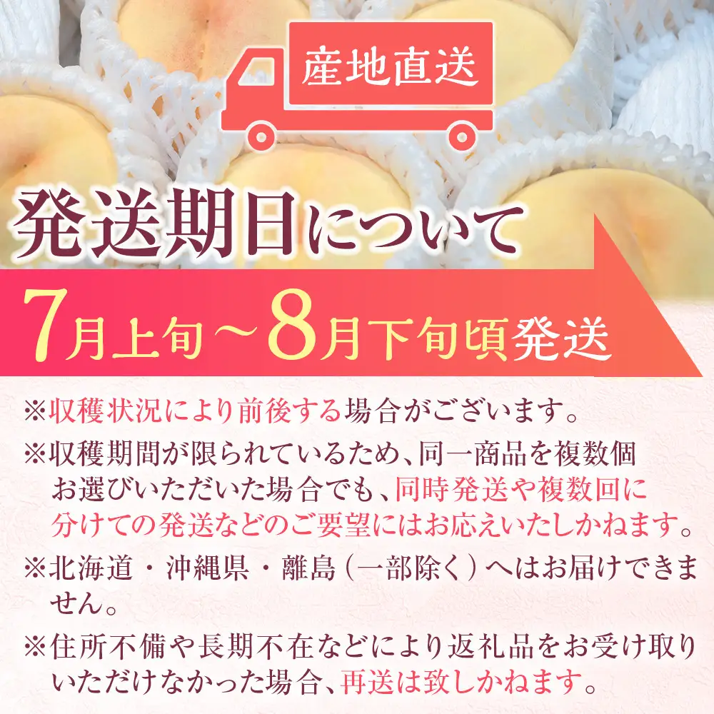 2026年 先行予約 岡山県産    白 桃   ロイヤル 約4kg（8～16玉）｜ 桃