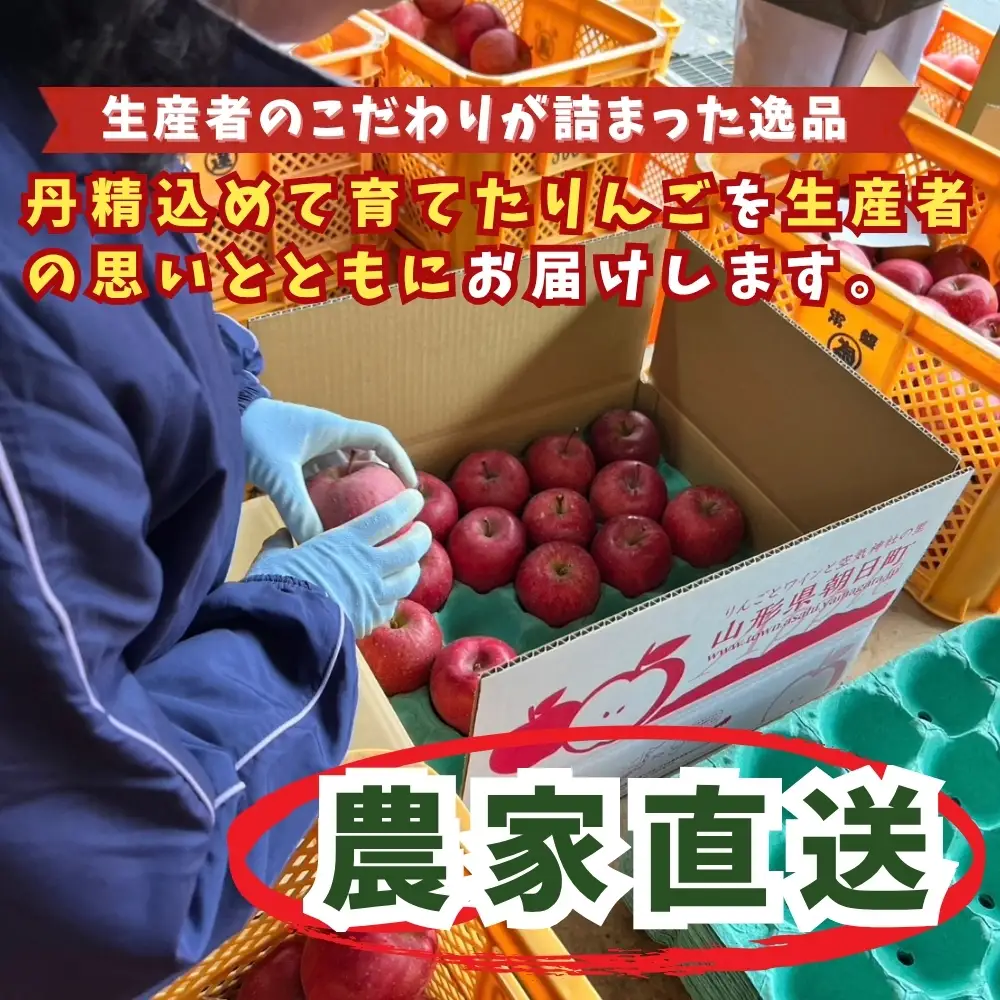りんご 【 ご家庭用 訳あり 】 サンふじ 5kg 【2026年11月下旬～発送】 山形県 朝日町産 農家直送 山形県産 特産 果物 フルーツ リンゴ 林檎 秋 冬 送料無料