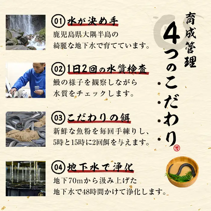 うなぎ 蒲焼 5尾 霧島湧水鰻 うなぎ (700g以上) b0-219-yy