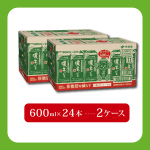 【機能性表示食品】おーいお茶濃い茶PET600ml×24本 2ケース 伊藤園