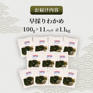 早採りわかめ 100g × 11パック 計1.1kg わかめ 海藻 海鮮 魚貝類 魚介類 小分け 個包装 みそ汁 スープ 酢の物 三陸産 岩手県 大船渡市