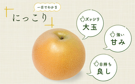 梨 にっこり 約3kg 6玉～12玉 梨