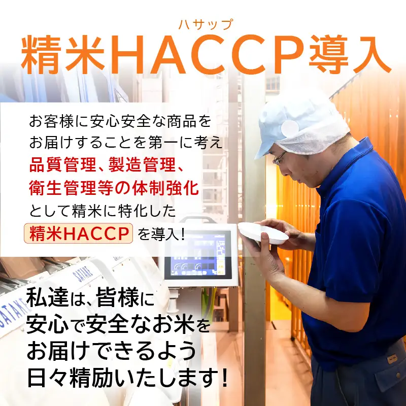 【先行予約】【令和8年産・新米】米 コシヒカリ 計10kg （5kg × 2袋）精米 福井県美浜町産 【2026年10月下旬以降発送】 [m60-b006_10]