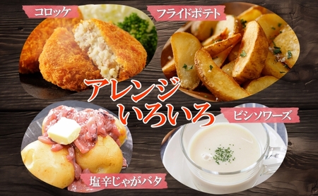 じゃがいも 男爵 きたかむい 北海道産 じゃがいも【各約5kg 計10kg Lサイズ】