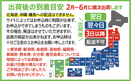 アスパラガス LM 400g【2026年2～6月配送】 BT12