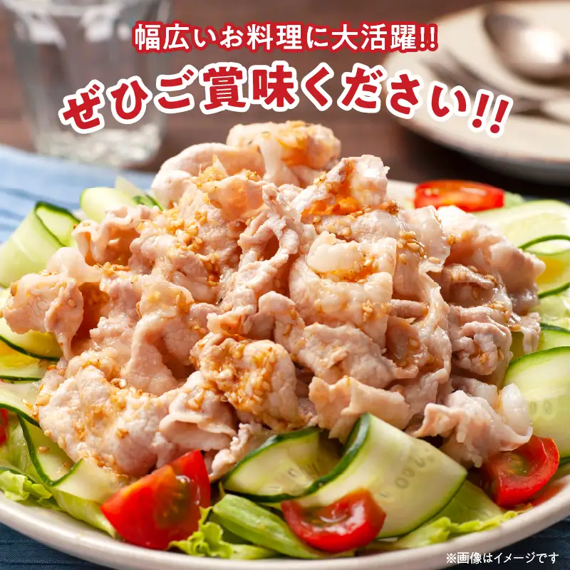 豚こま切れ 計4kg お肉 豚肉 小間切れ 豚こま ポーク 食品 スライス 切落し おかず お弁当 おつまみ 万能食材 国産 宮崎県産 焼肉 カレー 豚丼 豚汁 炒め物 大容量 小分け お祝い 記念日 ギフト おすすめ お取り寄せ グルメ 冷凍 宮崎県 日南市 送料無料_CA50-24