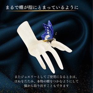 立体刺繍の蝶（ヘレナモルフォ蝶）