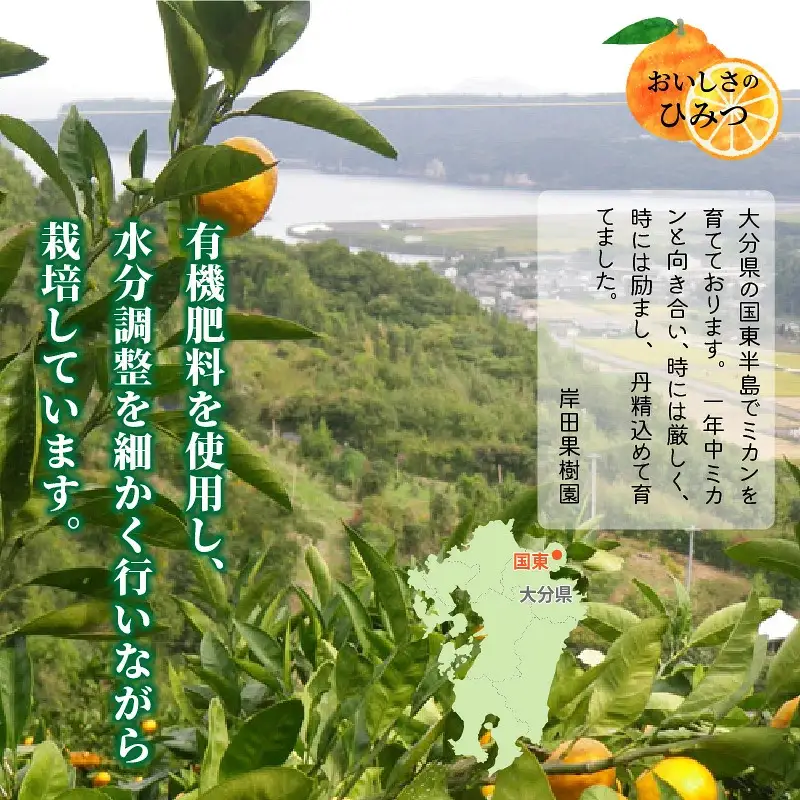 岸田果樹園プレミアム「温故蜜柑」約5kg_1275R