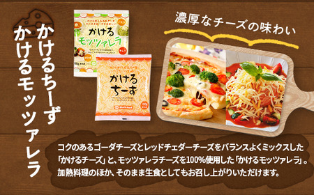 シュレッドチーズ＆キャンディーチーズセット (3) (全5種／超極細 1mm ナチュラルシュレッドチーズ＆キャンディチーズ＆かけるチーズ＆かける モッツァレラ) ｜ [4722]