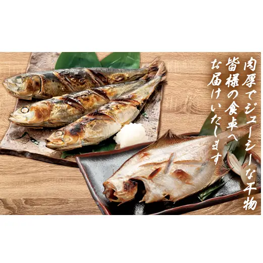 【2027年2月下旬発送】訳あり 干物・切身 セット 4.7kg 規格外 傷 不揃い
