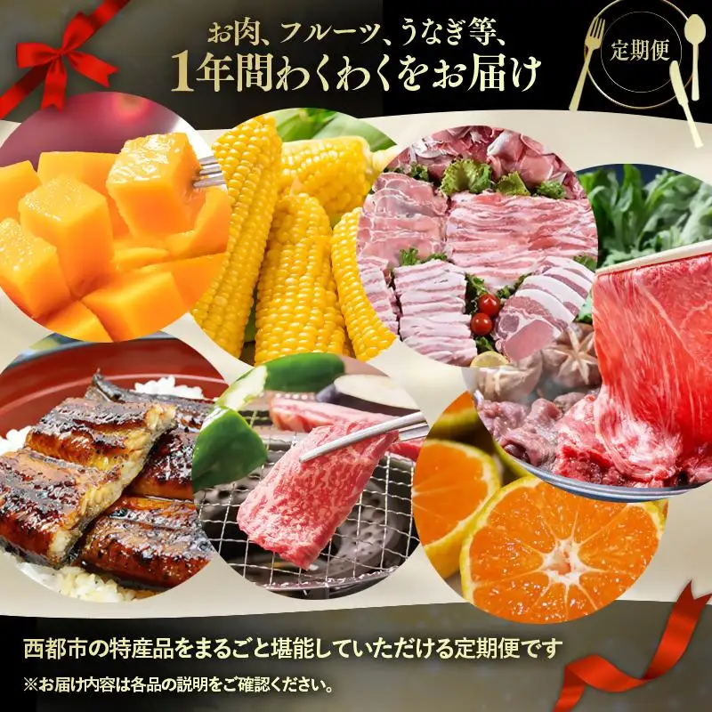 【季節の定期便E】12ヶ月毎月届く 西都まるごと堪能セット16品お届け！【プラチナコース】マンゴー 宮崎牛 うなぎ 牛肉 すき焼き 地鶏 鍋等＜1-5a＞