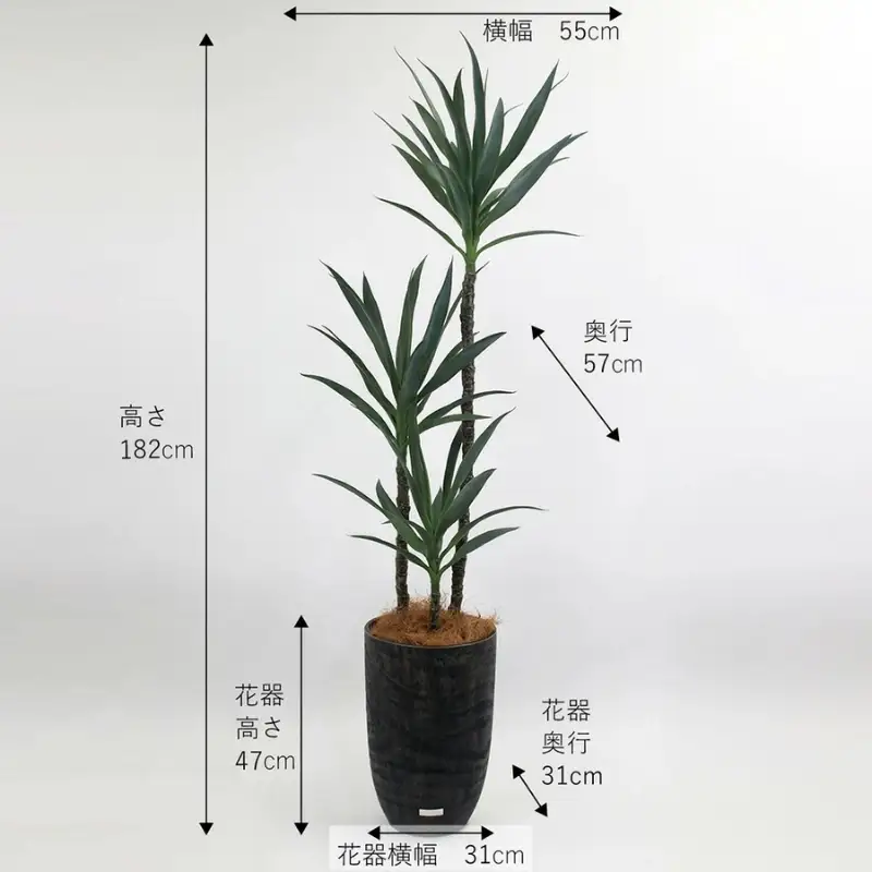 エミリオ・ロバ ユッカラン ユッカ アーティフィシャルグリーン 4L 造花 観葉植物 インテリア