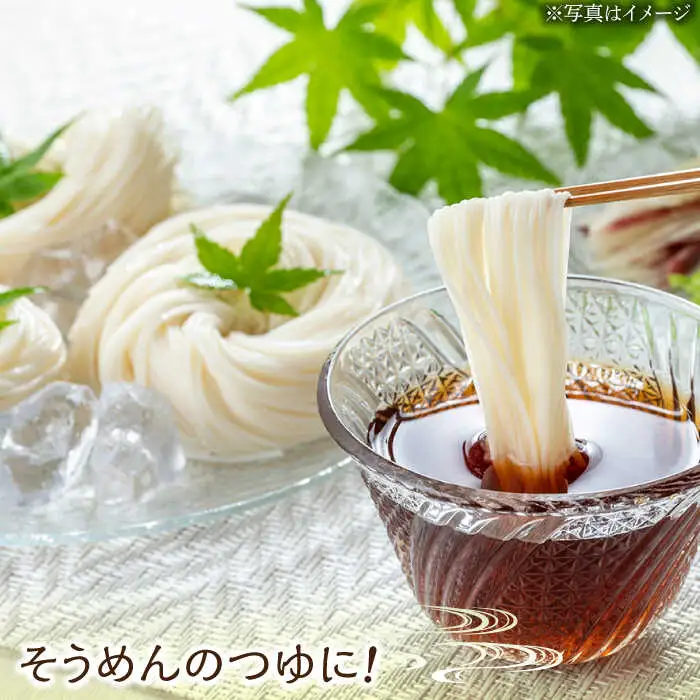 【6回定期便】なるせみそ・しょうゆ 味しょう 1L×2本 /角味噌醤油 [UAX027] 醤油
