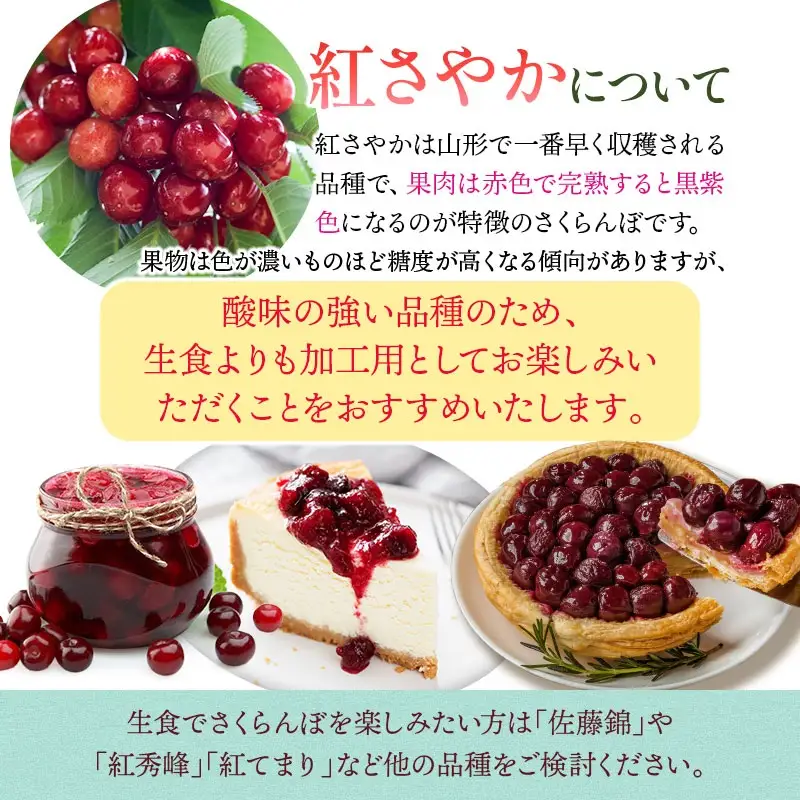 【令和9年産】 さくらんぼ 紅さやか バラ詰め 1kg（500g×2パック） 山形県鶴岡産 くにちゃん農園 K-956 