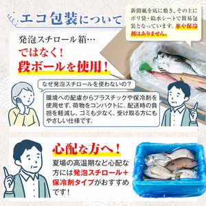 【A78003】ロコフィッシュ 地魚 下処理済 鮮魚 ボックス 約2～3kg エコ包装 鮮魚BOX 【昌徳丸】