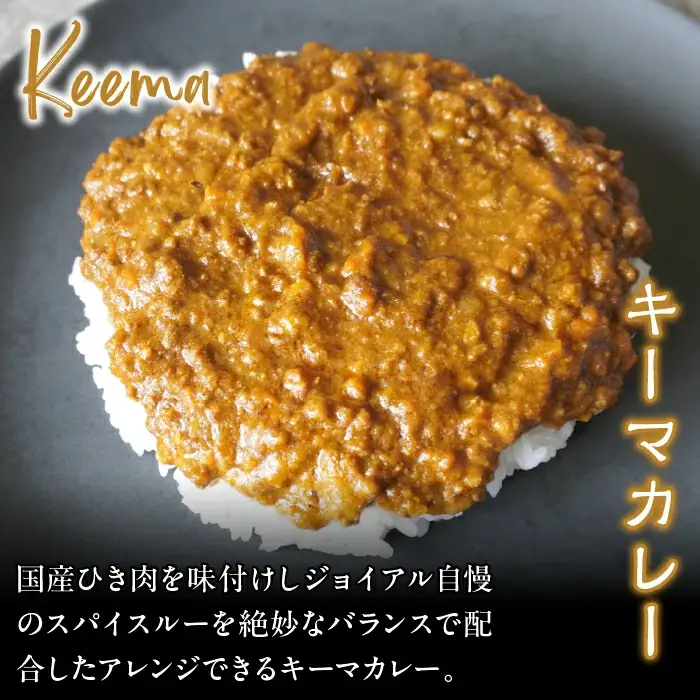 ジョイアル カレー5種5箱（ビーフ・ポーク・チキン・キーマ・スパイスルー）ギフトセット 118-007