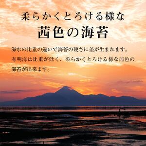 福岡県産 有明海苔 味海苔 大丸ボトル 8切80枚 6本セット