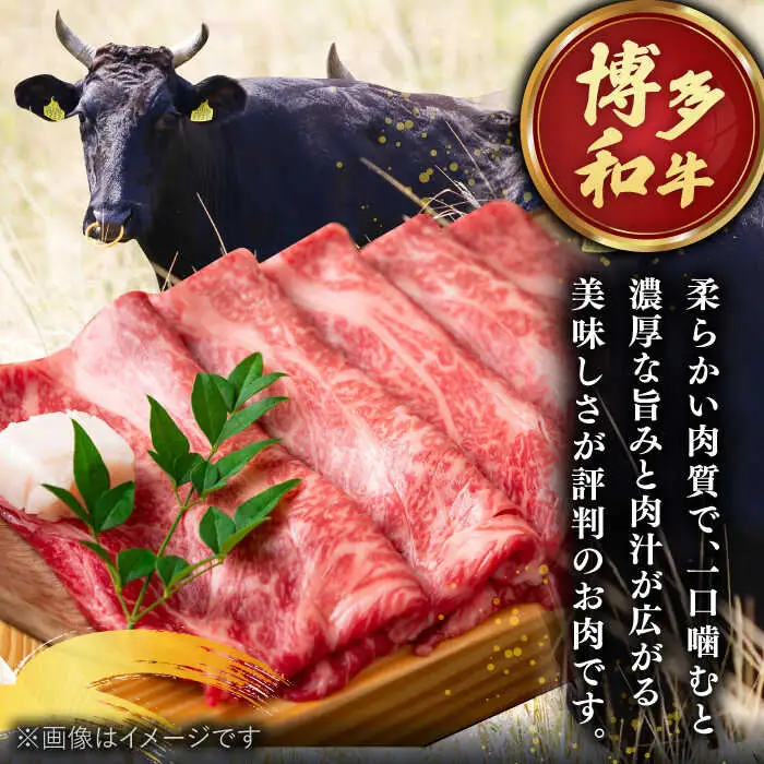 【 厳選 部位】 博多和牛 サーロイン しゃぶしゃぶ すき焼き 用 500g 桂川町/株式会社 MEAT PLUS [ADAQ081] 人気 肉 和牛 高級 特選和牛 稀少肉 上位ランク すきやき すき焼き