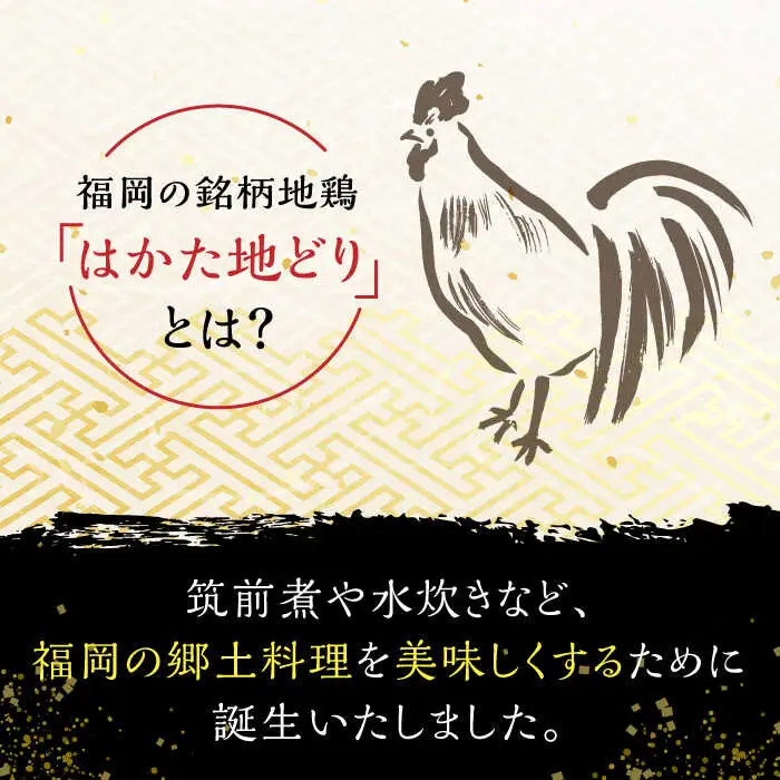 はかた地どり炭火焼きセット500g(100g×5p) 桂川町/株式会社 MEAT PLUS [ADAQ087] 地鶏 鶏肉 炭火 炭火焼き 九州産 地鶏の炭火焼 鶏 肉 小分け