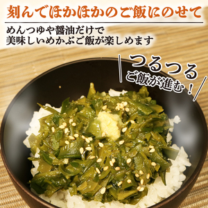 乾燥めかぶ 1.2kg 60g×20パック  めかぶ 海藻 海鮮 魚貝類 魚介類 乾燥 常温 常温保存 小分け 個包装 おかず ごはん ご飯 朝食 夕食 岩手県 大船渡市