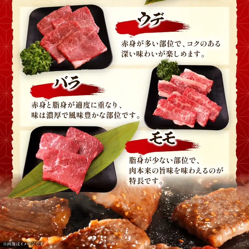 宮崎県産黒毛和牛(経産)6種焼肉セット 600g 黒毛和牛 牛肉 肉 サーロイン リブロース 肩ロース ウデ バラ モモ 焼肉 バーベキュー BBQ 濃厚 プレゼント 贈答 贈り物 ギフト_kn085-007-02