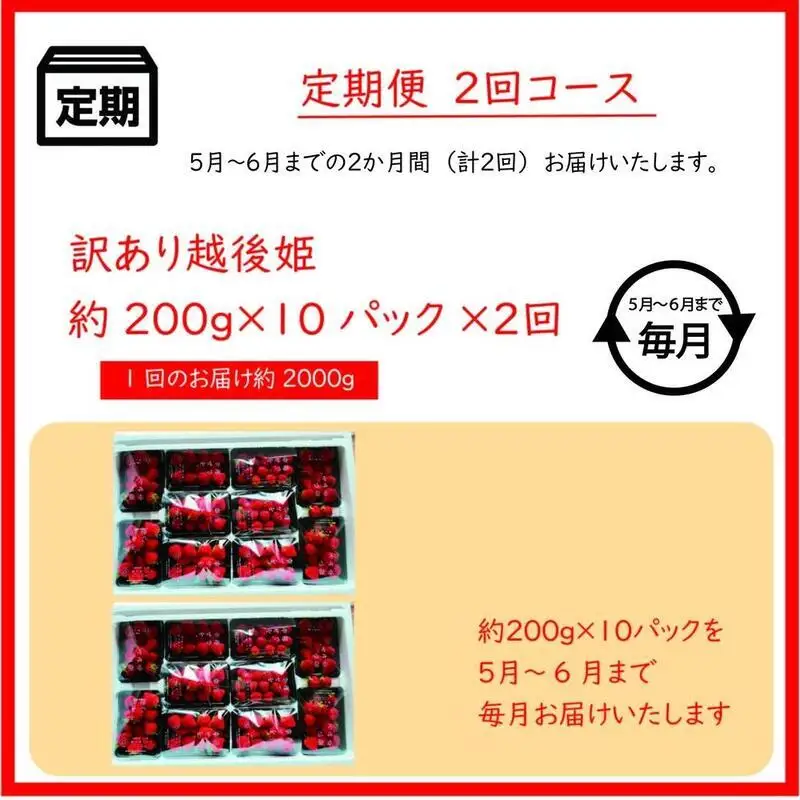 【先行予約・定期便2回】訳あり 越後姫 いちご 200g×10 越後姫 (5~6月発送)