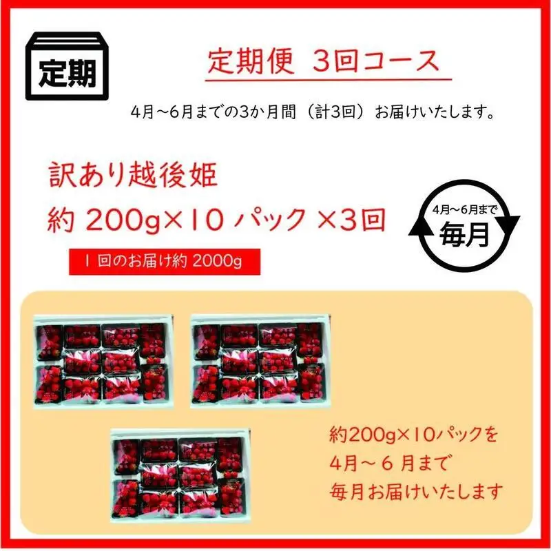 【先行予約・定期便3回】訳あり 越後姫 いちご 200g×10 越後姫 (4~6月発送)