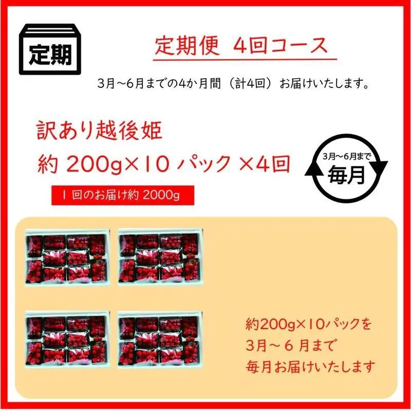 【先行予約・定期便4回】訳あり 越後姫 いちご 200g×10 越後姫 (3~6月発送)