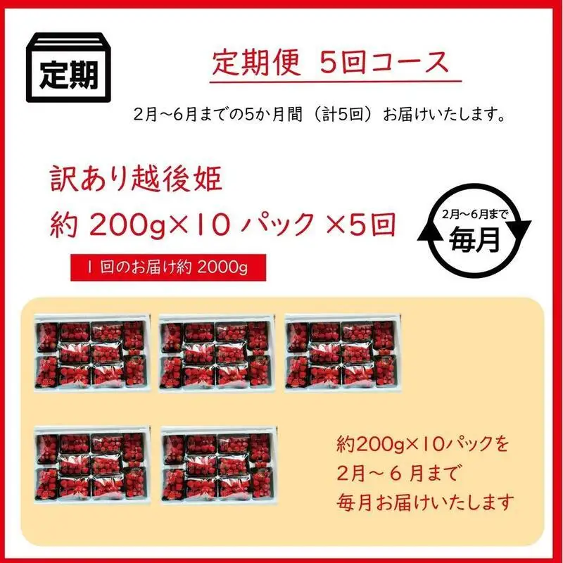 【先行予約・定期便5回】訳あり 越後姫 いちご 200g×10 越後姫 (2~6月発送)