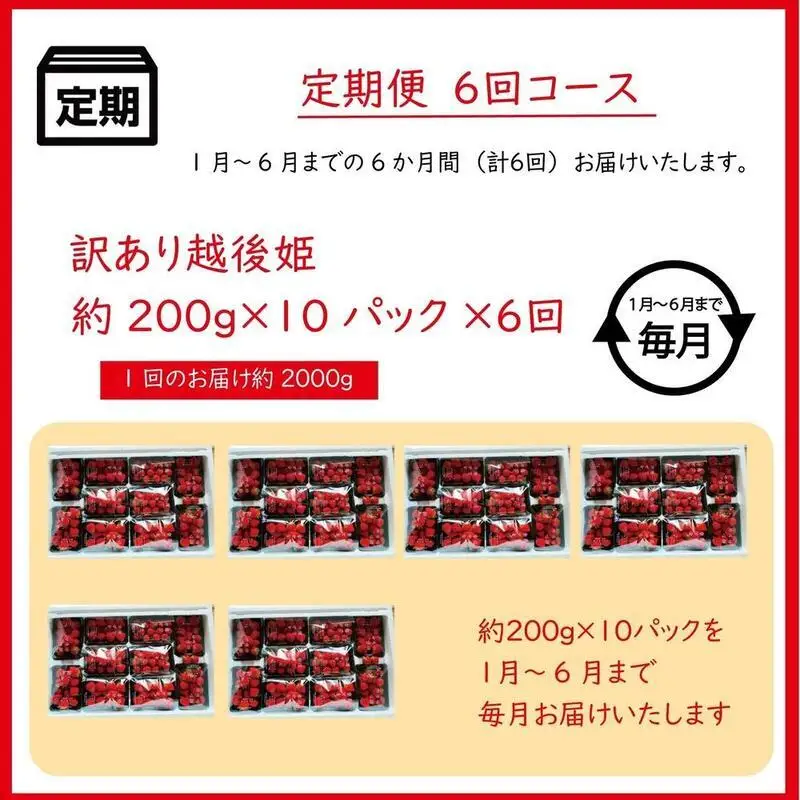 【先行予約・定期便6回】訳あり 越後姫 いちご 200g×10 越後姫  (1~6月発送)