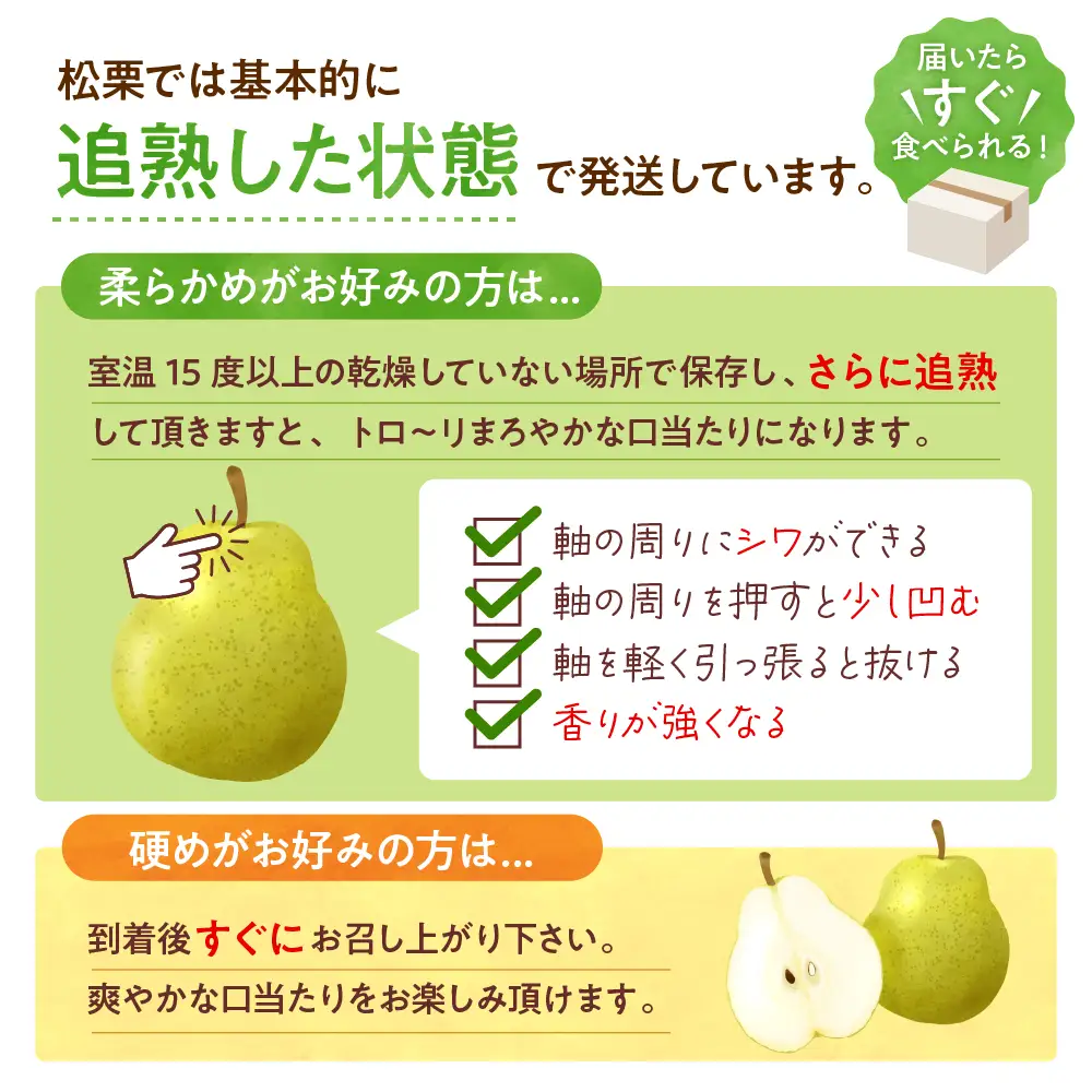 2026年産 ラフランス 訳あり 2kg ラフランス 洋なし 家庭用 