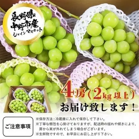 長野県中野市産　冬でも食べれる　シャインマスカット4房(2.0kg以上)【配送不可地域：離島】【1331158】