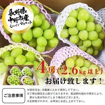 長野県中野市産　冬でも食べれる　シャインマスカット4房(2.6kg以上)【配送不可地域：離島】【1331183】