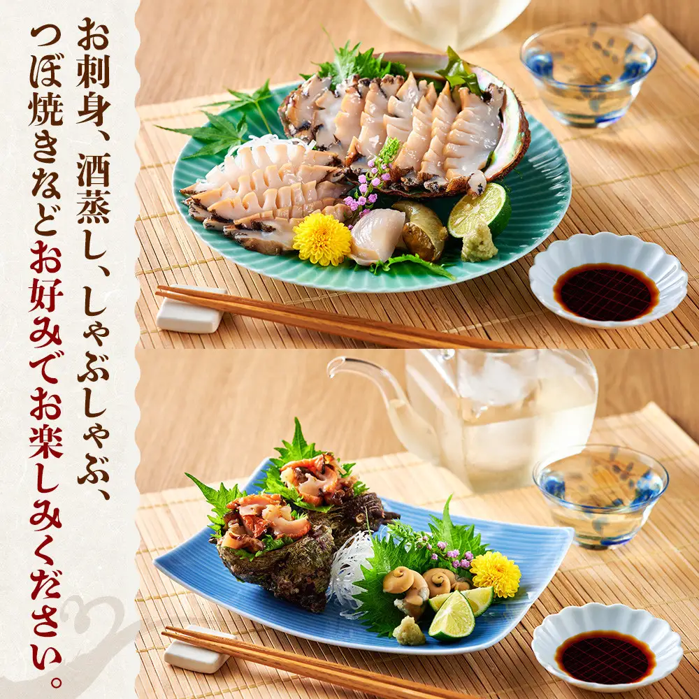＜土日祝着＞＜1月上旬～2月上旬頃順次配送＞あわび・さざえ詰合せ(2種) 【鳥取県 境港市】