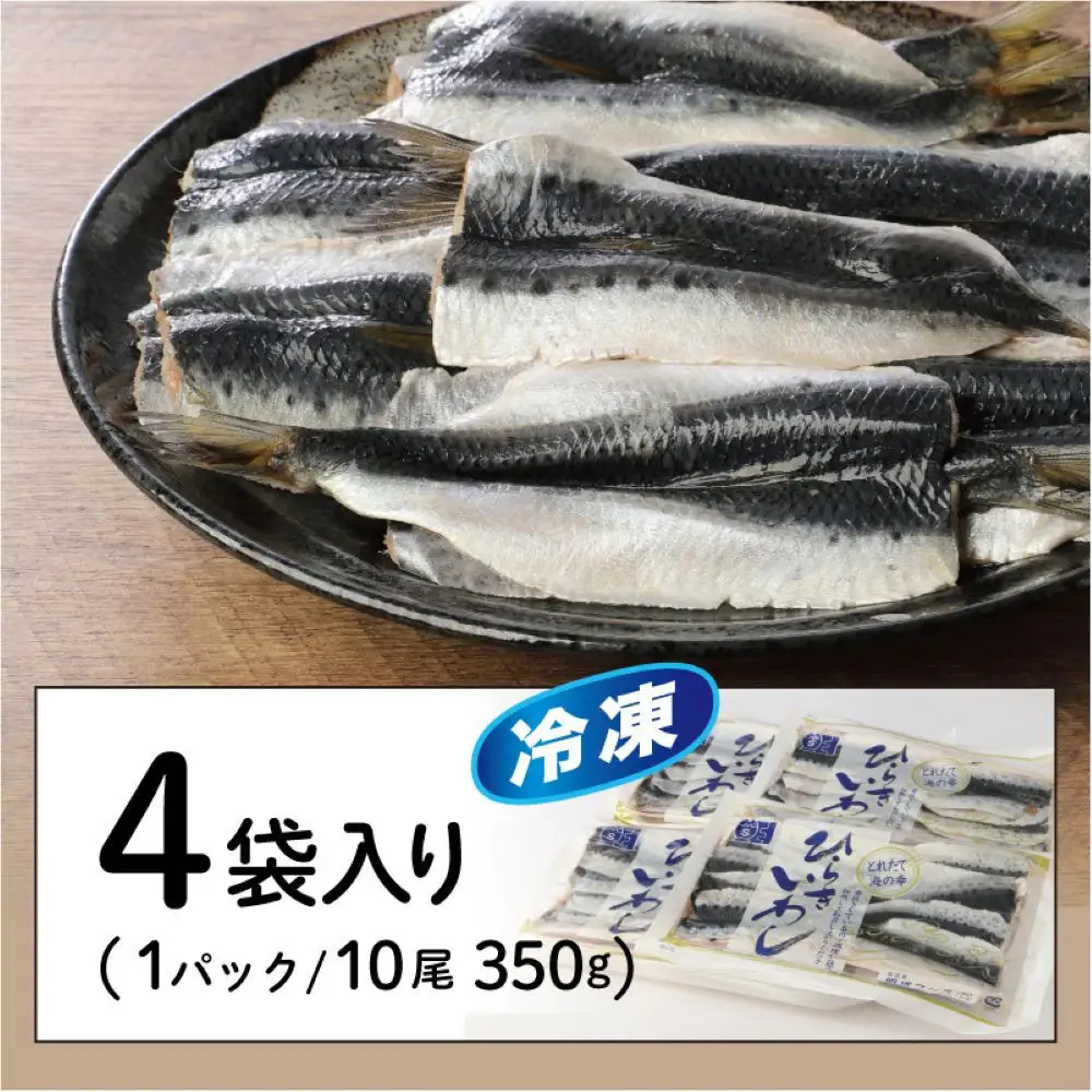 境港産 無塩いわしひらき(計40尾)　【鳥取県 境港市】