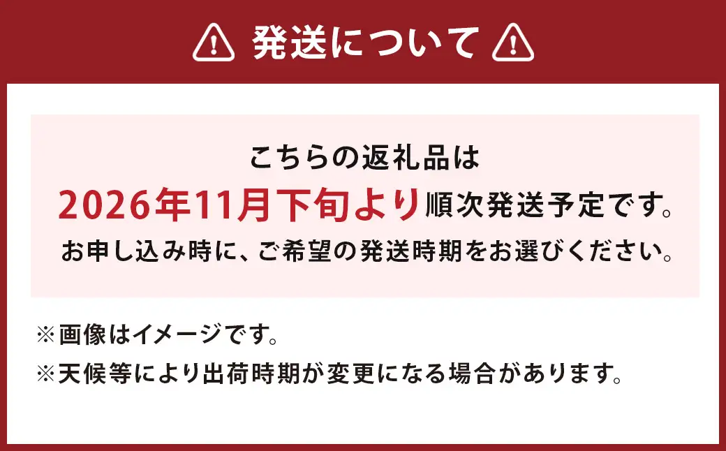 【2026年11月下旬発送】「ゆうべに」250g×4パック いちご イチゴ 苺 フルーツ 果物