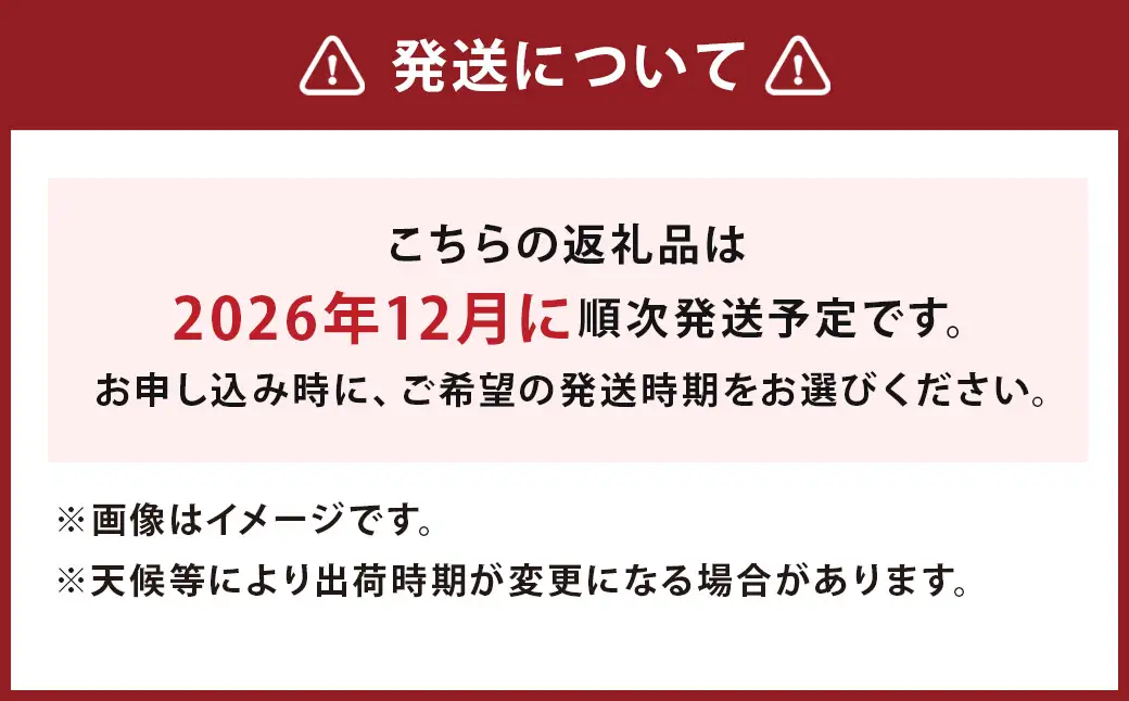 【2026年12月発送】「ゆうべに」250g×4パック いちご イチゴ 苺 フルーツ 果物