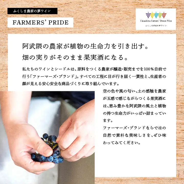 ワイン 夢ワインのおすすめ3本セット 250ml×3本 【ふくしま農家の夢ワイン株式会社】