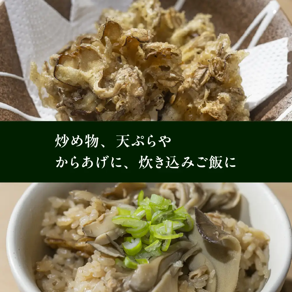 【ふるなびWEEK対象】訳あり（簡易包装）飛騨舞茸 1kg 舞茸【60-2fw】