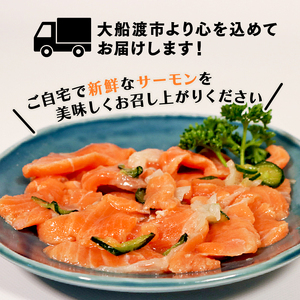 サーモンのマリネ 630g 70g×9袋 鮭 サーモン さけ 刺し身 刺身 おさしみ マリネ おつまみ お酒 酒 魚 海鮮 魚貝類 魚介類 簡単 惣菜 岩手県 大船渡市