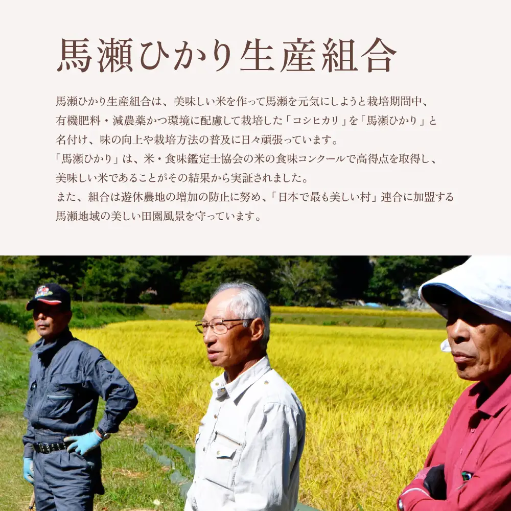 【数量限定】新米予約受付【2026年産米】(2026年10月中旬頃から順次発送) 馬瀬ひかり（5kg×2袋）【125-2】
