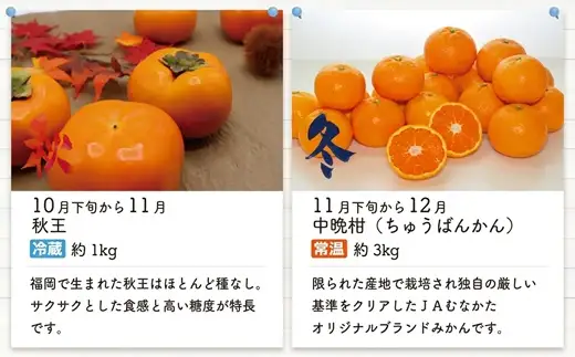 【年4回春夏秋冬】福岡旬のフルーツ定期便（3・6～7・10～11・11～12月）【随時開始】[H5360]