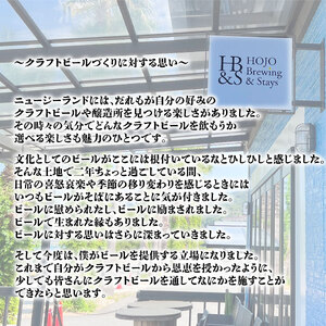 クラフトビール全2回定期便4本セットおまかせクラフトビール【HJB006】